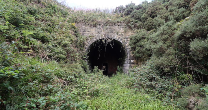 Tunnel Portal South