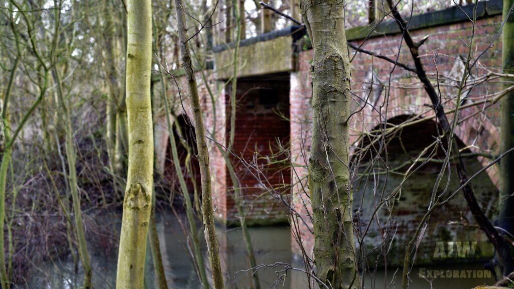 Nature at the Bridge